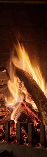 木々の間から見える建物の佇まい