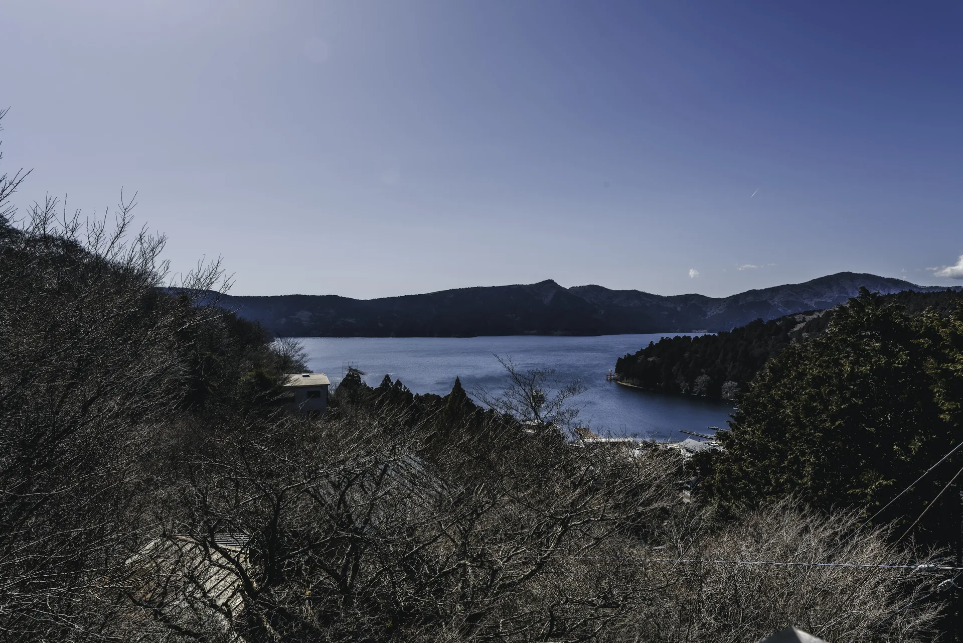 高台から見下ろす芦ノ湖のパノラマ