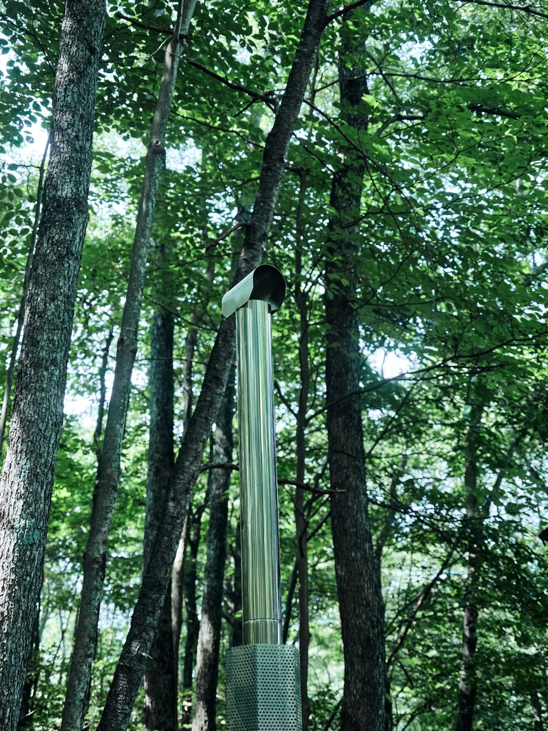 白樺やカラマツが空へ伸びる、Jardinの森