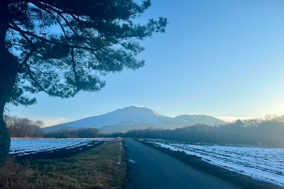 緑の畑の間を抜ける北軽井沢の道