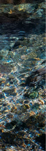 陽光にきらめく清流の水面