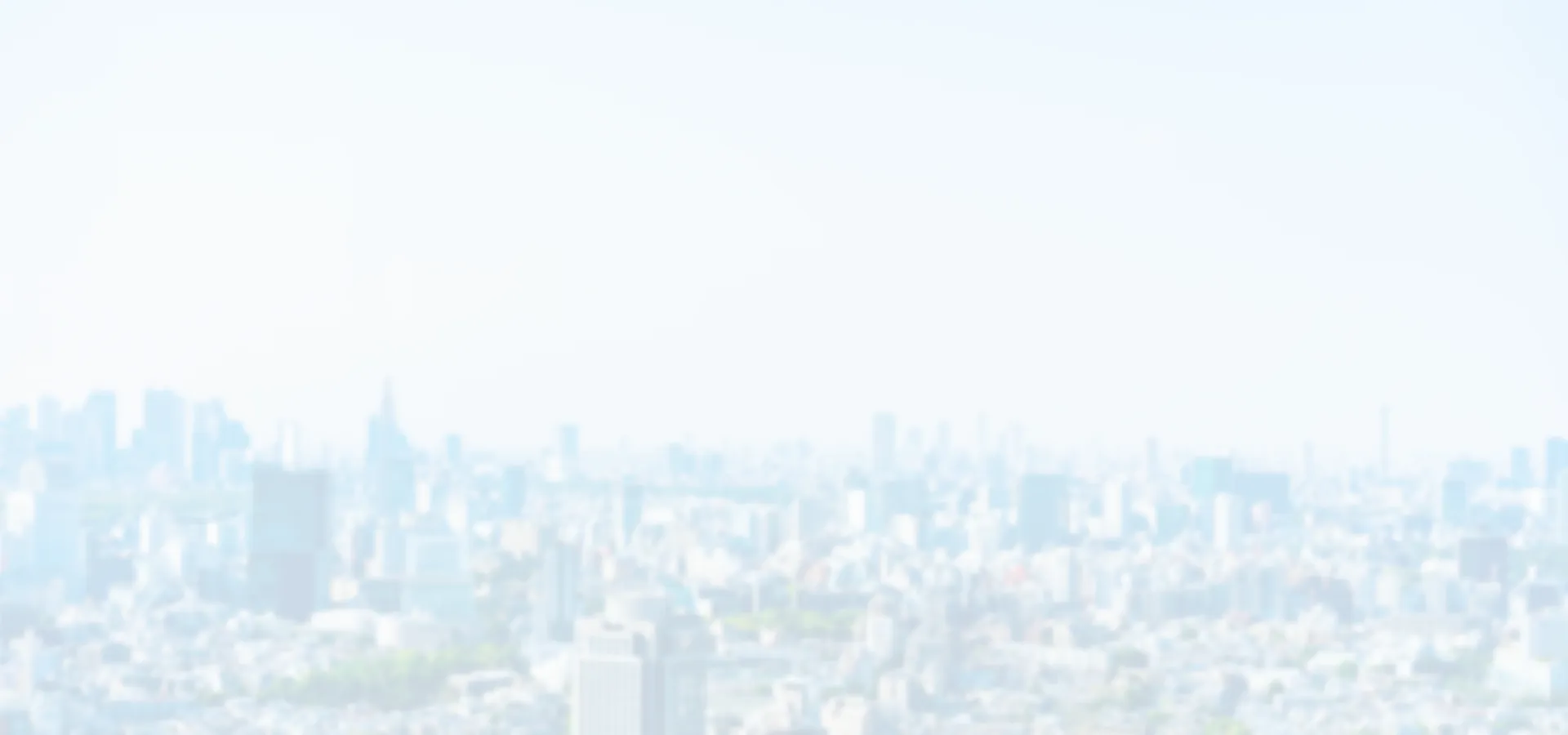 淡い光の中に広がる東京のスカイライン